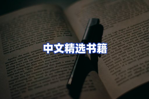 中文精选书籍